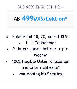 business-englisch-eins-und-zwei-linguapr