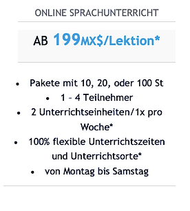 online-learning-sprach-unterricht-lingua
