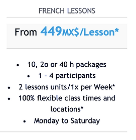 french-lessons-linguaprolc.png