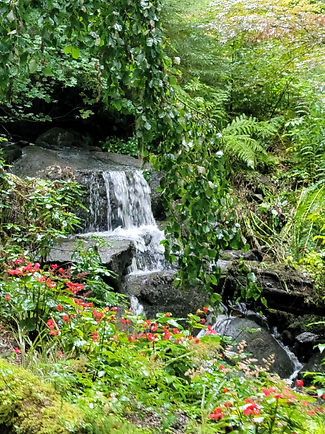 20220901_110853.jpg