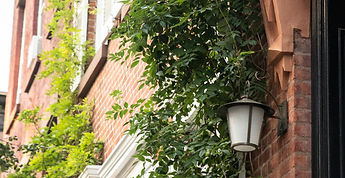 New Project (12).jpg