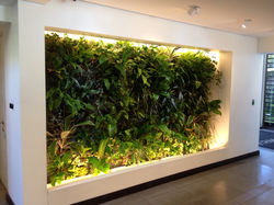 Inmobiliaria Armas