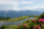 05612 ©FranzGERDL_DRTL Leppner Alm.