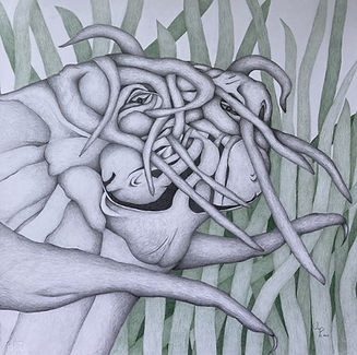 IngeMarionPetersen_Insecta _No.4_2023_50x50cm.JPG