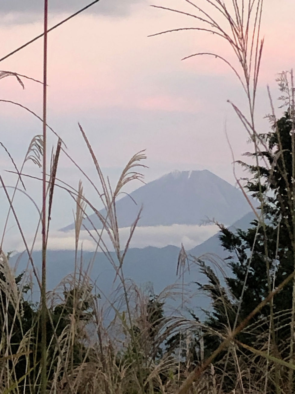 秋の富士山