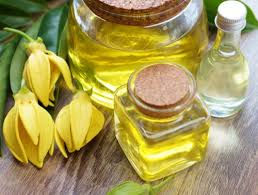 ylang.jpeg