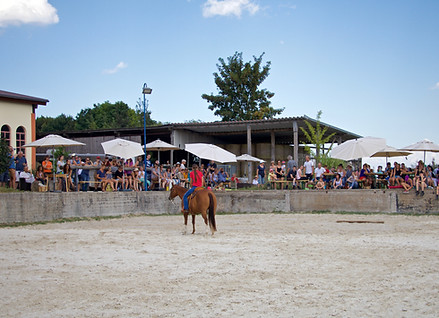 IMG_0928.jpg