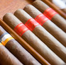 Cigar