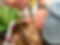 IMG_2988_jpg - Copy.jpg