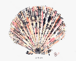 scallop shell pinks_edited.png