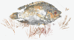 03212024120120-0001 (1)