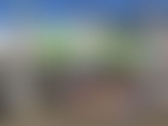 ふるさと祭りおおみやふれあい広場に参加しました