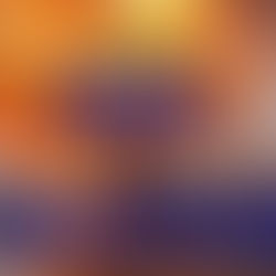 No More Yemen, No More Gaza