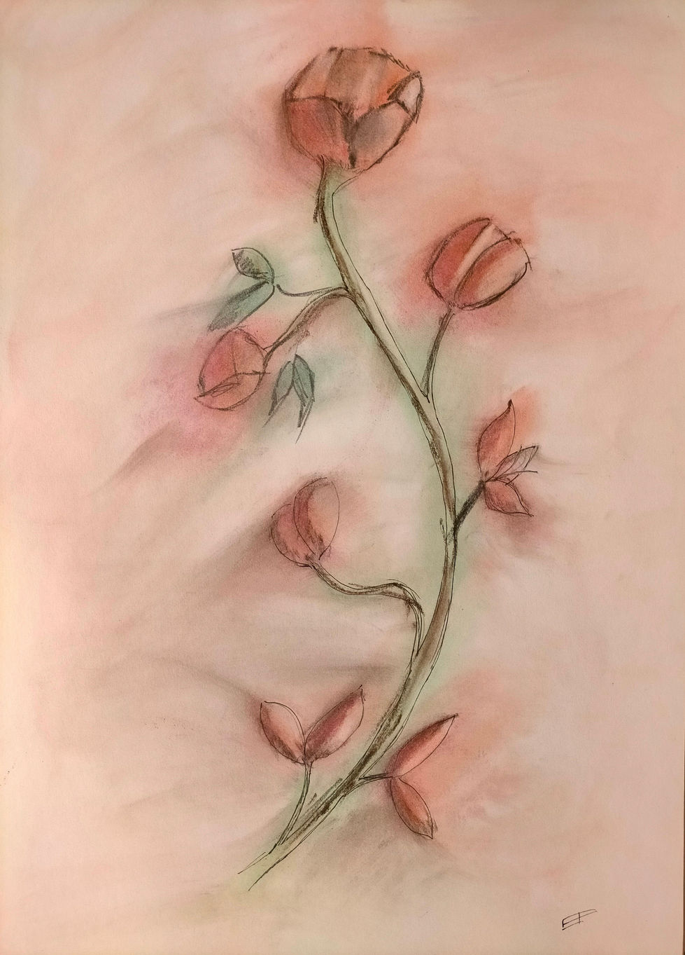 03p The Flowering - pastel - 26-08-13 o