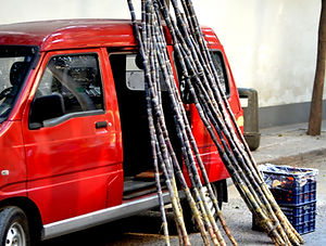 impianto Delivery_1