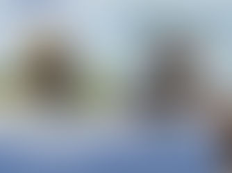 Soelect Receives 2024 DOD Army Small Business Innovation Research (SBIR) Grant Phase I for $250,000