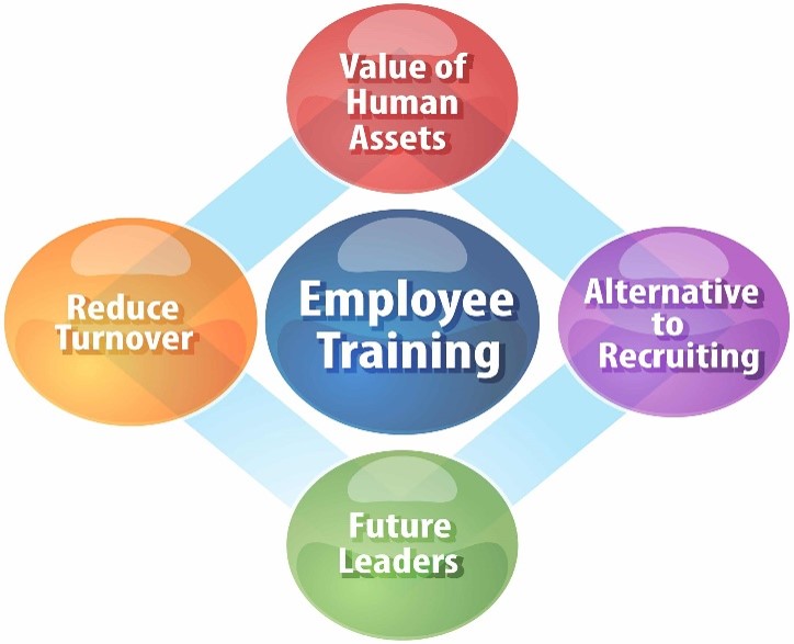 Employee training diagram consists of: Value of human assets, alternative to recruiting, future leaders, reduce turnover