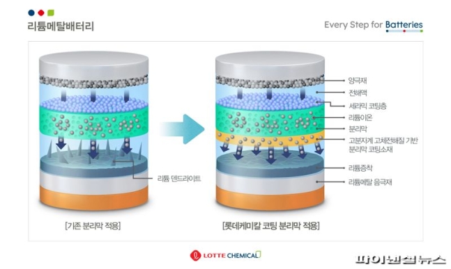 Diagram of lithium metal batteries and its inner components and function