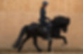 DSC_7966 Kopie.JPG