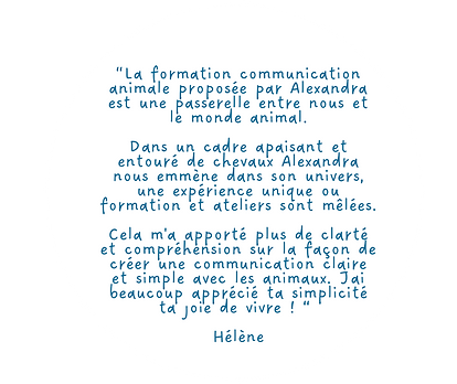 COMM ANIMALE SITE (5).png