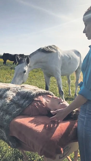 66f33996-ae07-4ff7-bb1e-429bdc336a5f_edi