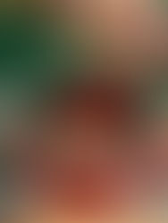 Joyeuses Fêtes & Bonne Année 2026