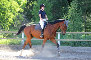 Stockfoto: reiten
