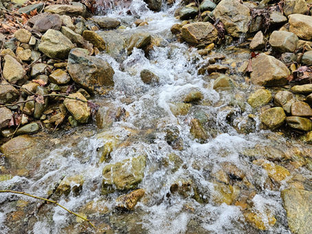 Flowing water greets you as you enter The Undergrowth. Setting the scene for a different kind of gathering.