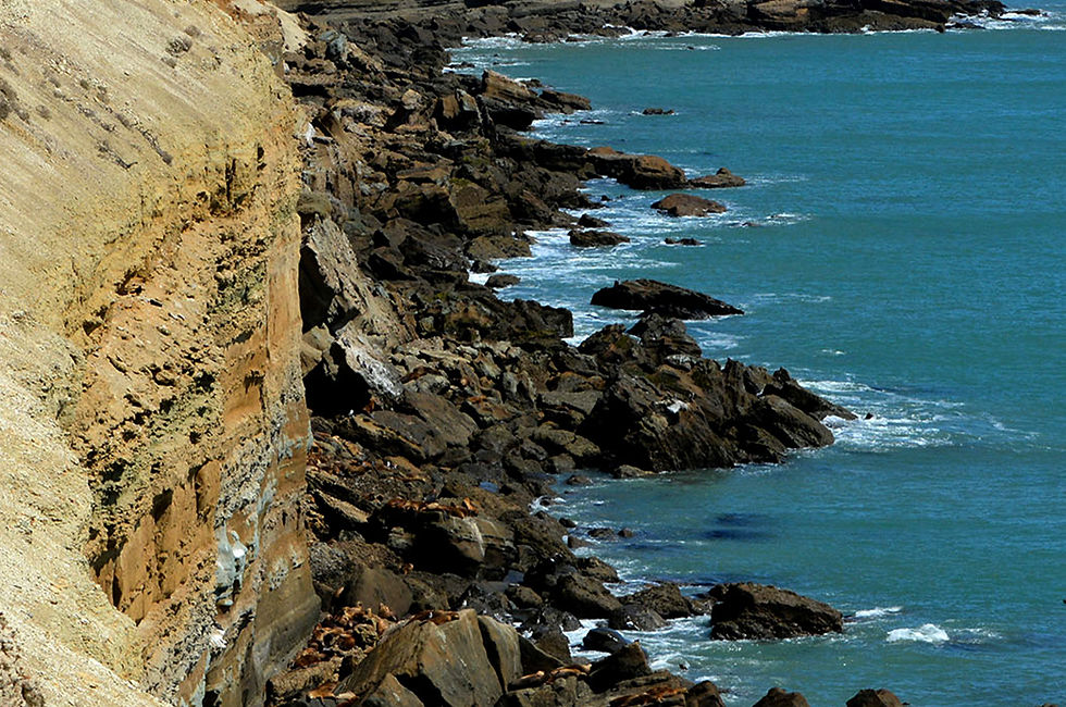 la fotografia muestra Impresionantes acantilados costeros en Puerto San Julián, Santa Cruz. Las capas de roca sedimentaria de colores claros contrastan con las oscuras rocas volcánicas en la base, donde un grupo de lobos marinos descansan cerca de las olas rompiendo.