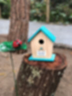Sensory Trail 6