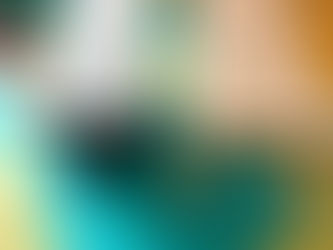 ５月から、ジム運営