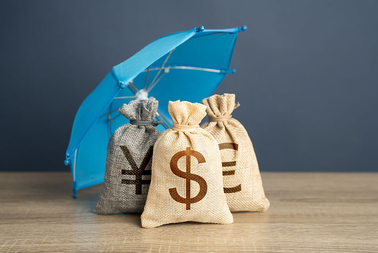 money-bags-of-world-currencies-under-an-umbrella-2025-03-18-18-53-51-utc.jpg