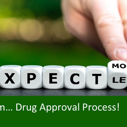 Expect More From... the Drug Approval Process!
