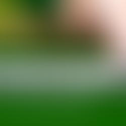 Expect More From... Price Controls!