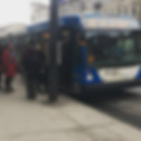 bus.jpg