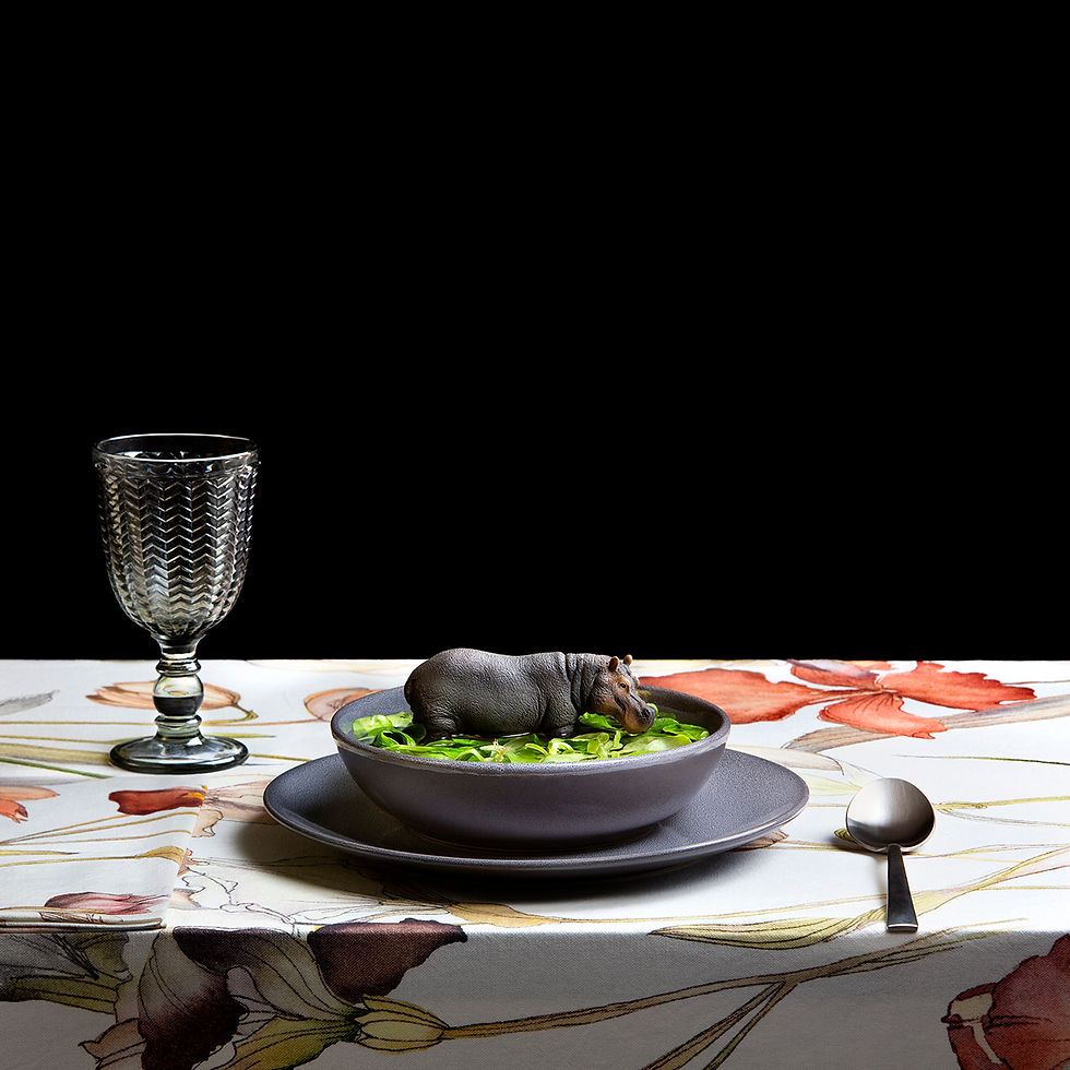 Thumbnail: The Suppe Series