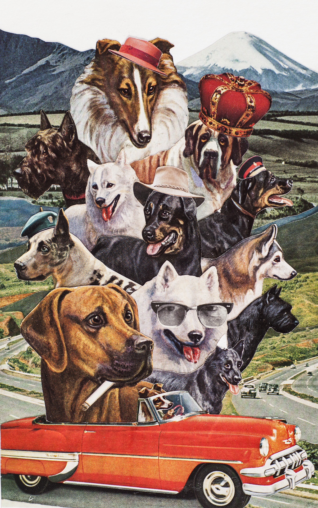 Animal Friends - Road Dogs