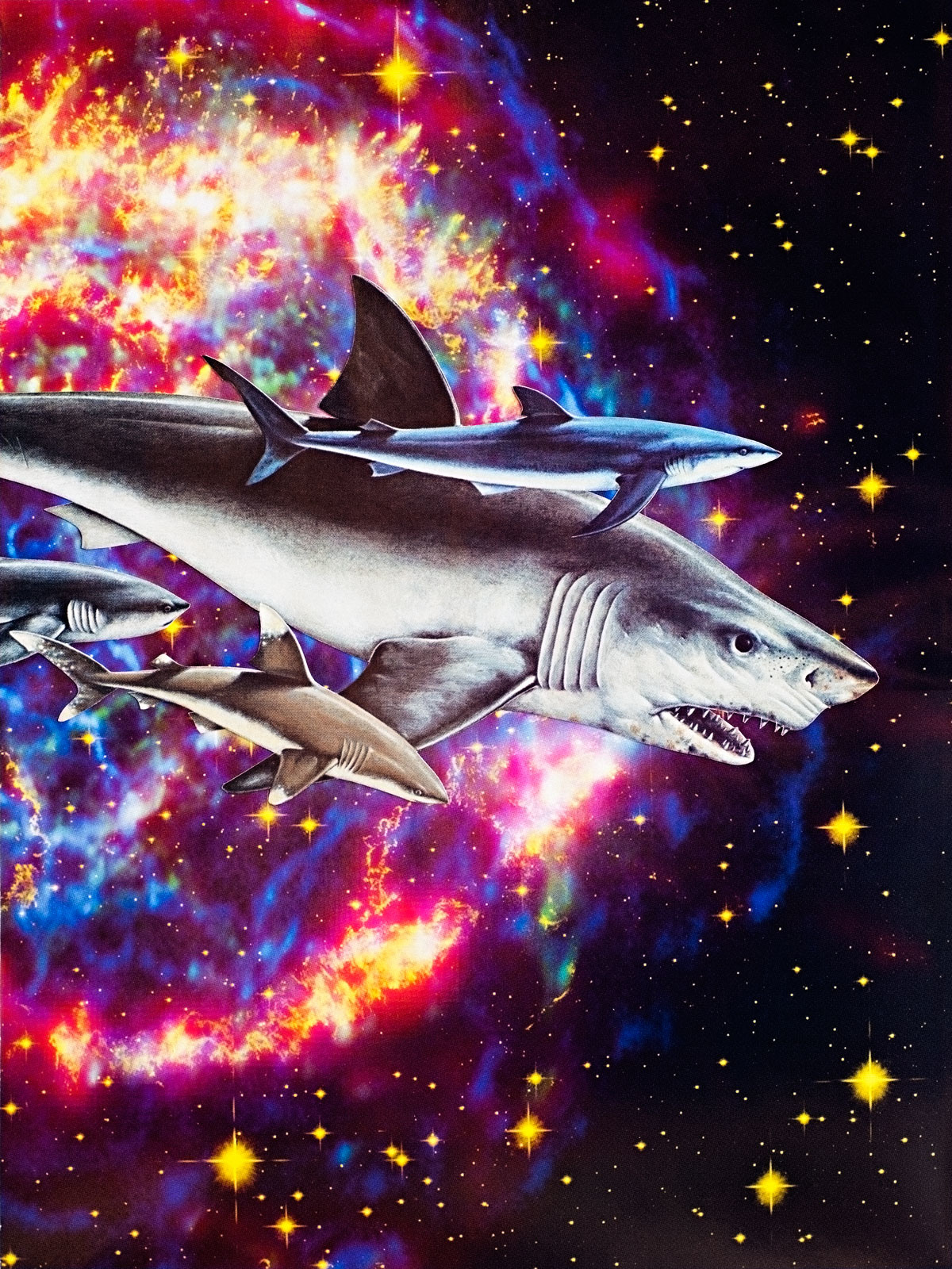Animal Friends - Space Sharks