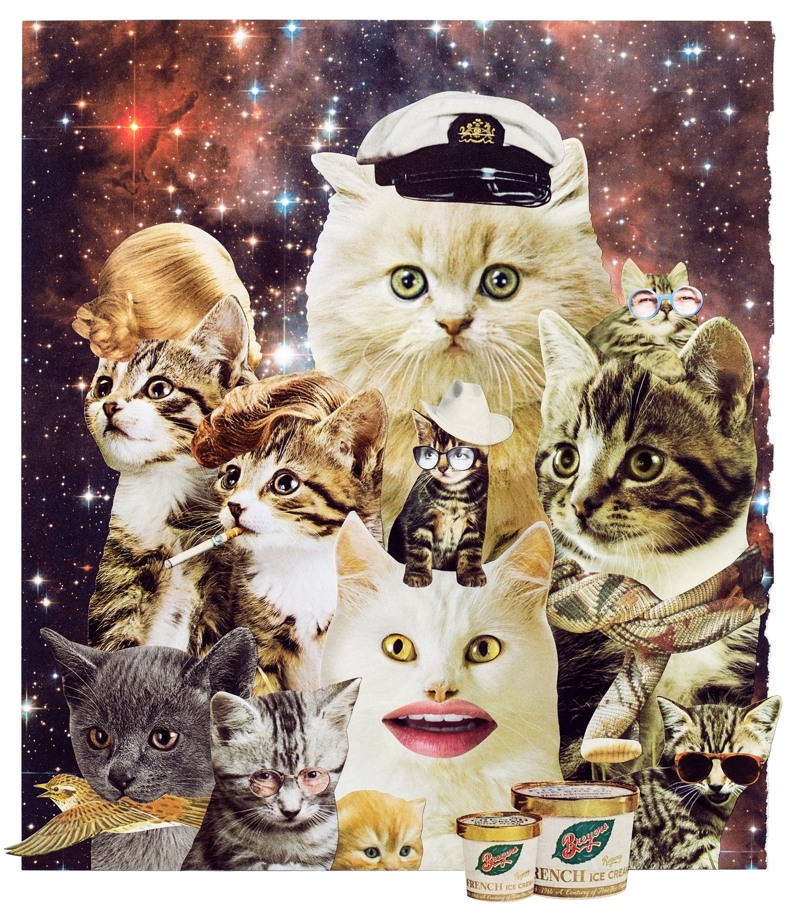 Animal Friends - Space catz