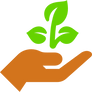 seeding.png