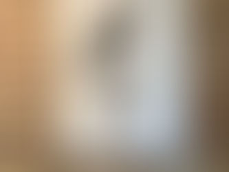 L'artelier dans ma cour