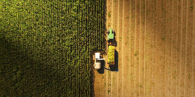 Harvert flip image.png