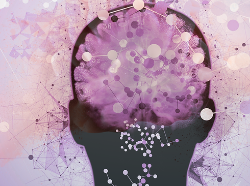 FOTOS PÁGINA WEB (6).png