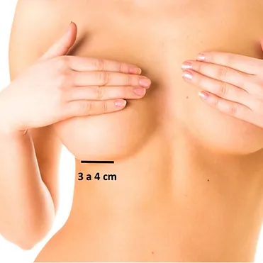 bfaf56_4b14acec3b7b4ba4ba569017aff407e6_mv2.webp