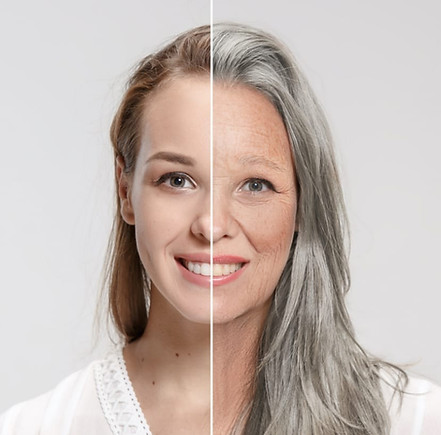 Imagem do WhatsApp de 2022-11-24 à(s) 23.55.08.jpg