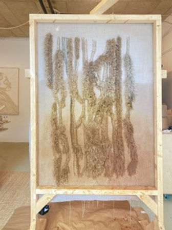 naomy dentro_cornrows.jpeg