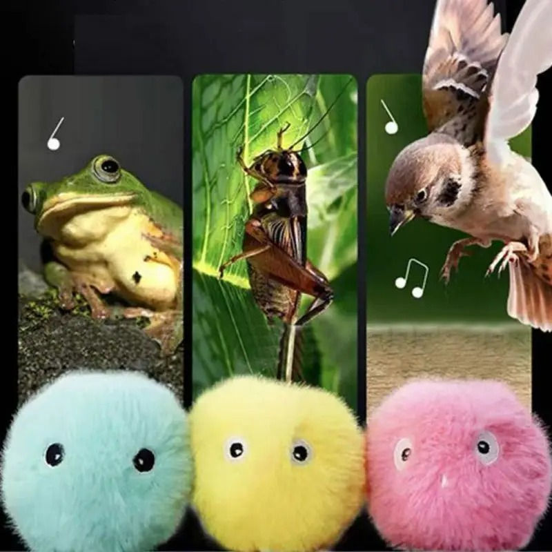 Thumbnail: Colorful plush cat toy balls mimicking frog, cricket, and bird sounds.