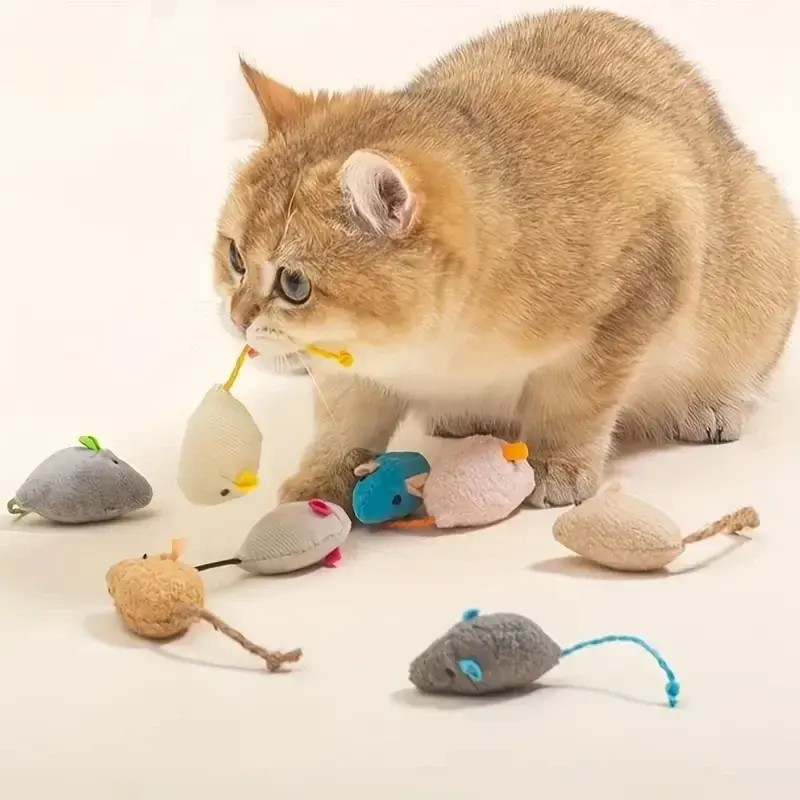Thumbnail: Cat playing with 7 interactive plush rat toys