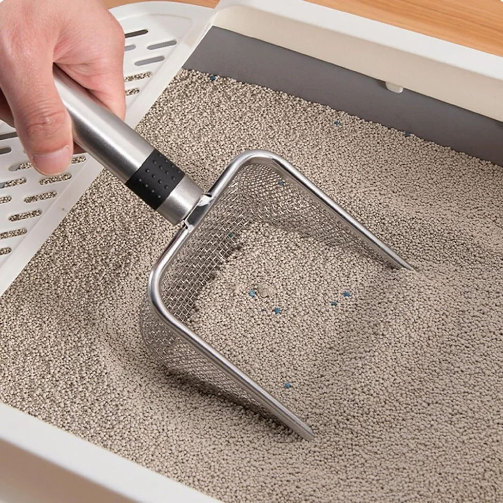 Stainless steel cat litter scoop sifting through sand
