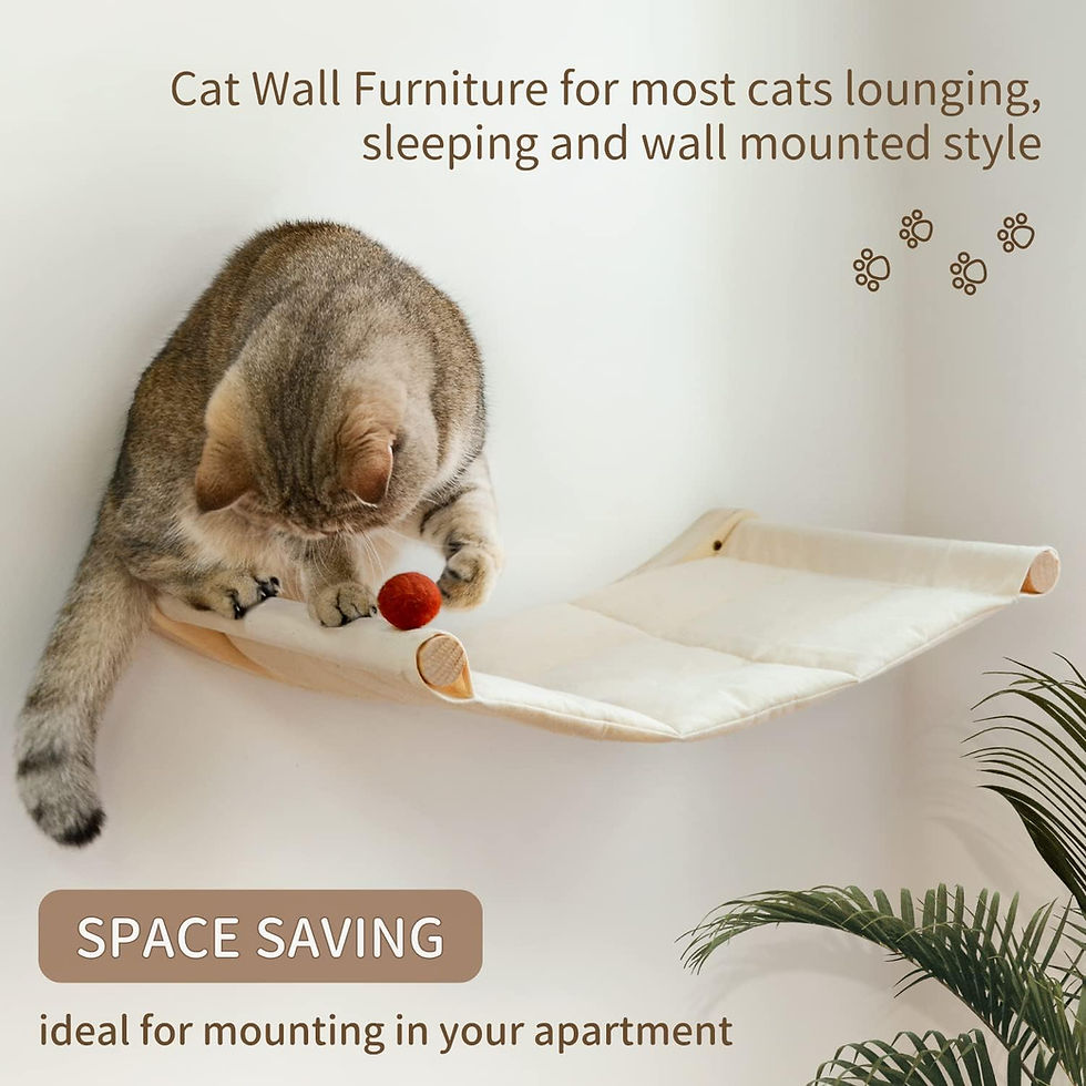 Thumbnail: Cat on a floating wall mount bed with space saving text.